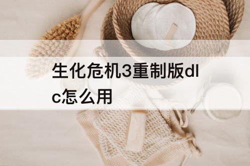 生化危机3重制版dlc怎么用