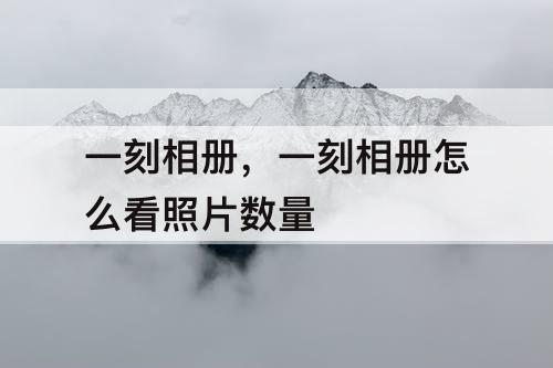 一刻相册，一刻相册怎么看照片数量