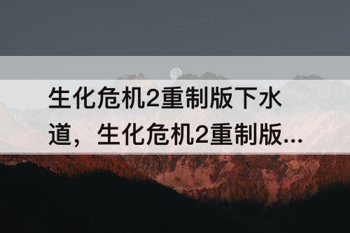 生化危机2重制版下水道，生化危机2重制版下水道棋子解密