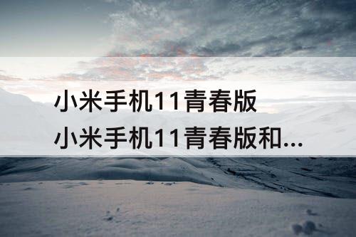 小米手机11青春版 小米手机11青春版和青春活力版那个拍照更好