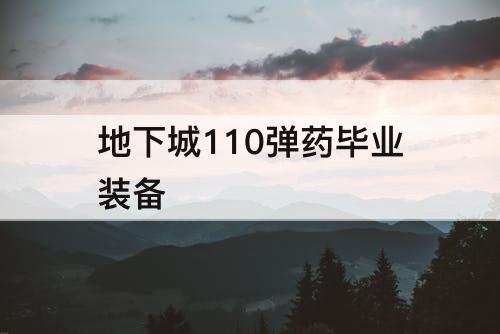 地下城110弹药毕业装备