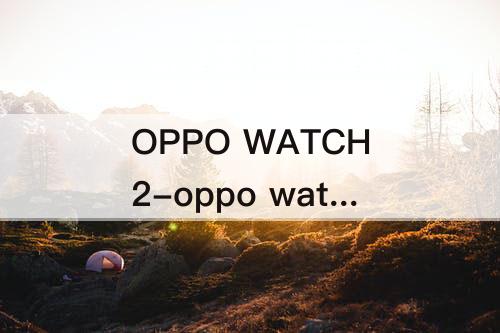 OPPO WATCH2-oppo watch2怎么看图片