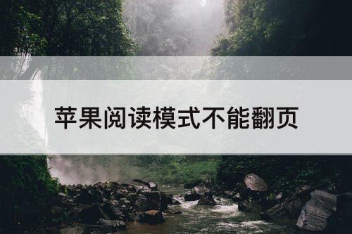 苹果阅读模式不能翻页