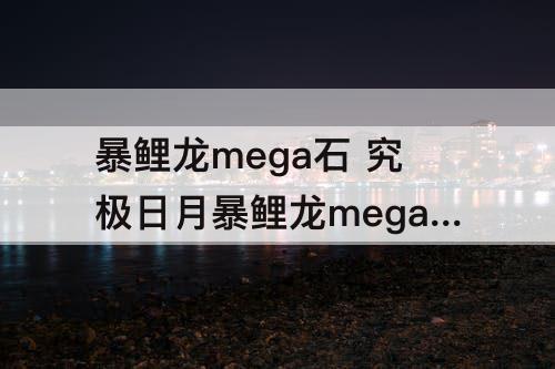 暴鲤龙mega石 究极日月暴鲤龙mega石在哪