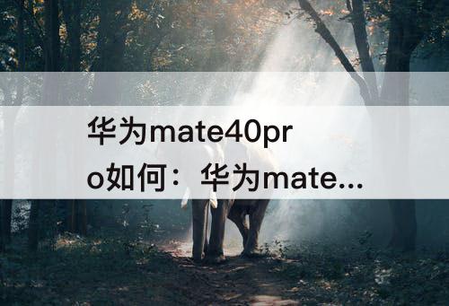 华为mate40pro如何：华为mate40pro如何截长屏打印