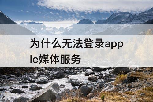 为什么无法登录apple媒体服务