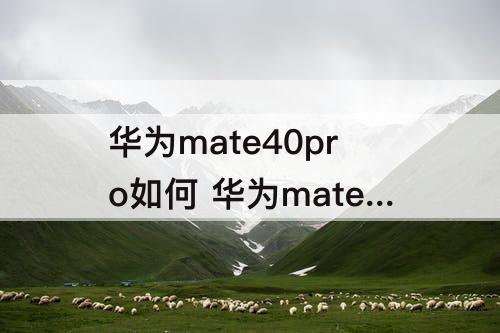 华为mate40pro如何 华为mate40pro如何申请鸿蒙3.0