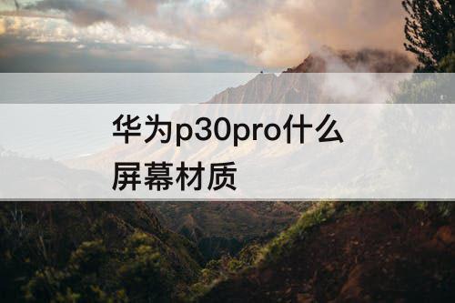 华为p30pro什么屏幕材质