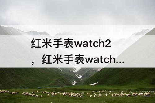 红米手表watch2，红米手表watch2自定义表盘