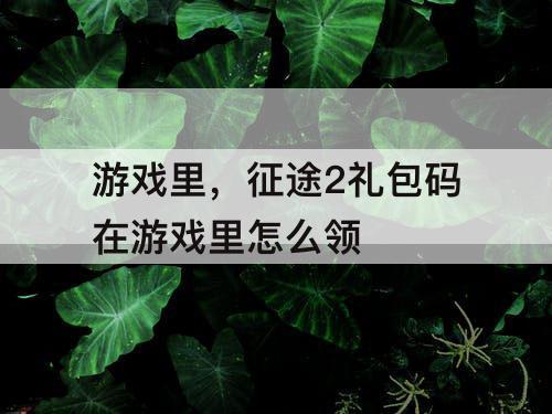 游戏里，征途2礼包码在游戏里怎么领