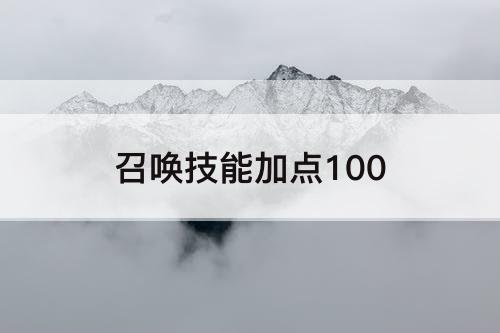 召唤技能加点100