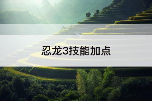 忍龙3技能加点