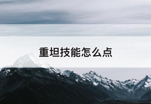 重坦技能怎么点