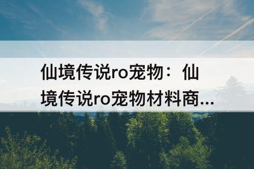 仙境传说ro宠物：仙境传说ro宠物材料商店在哪